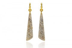 Fossilized Coral Earrings